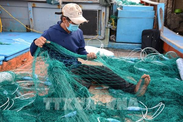 Vượt khó giá dầu tăng cao, nông dân vẫn vươn khơi bám biển