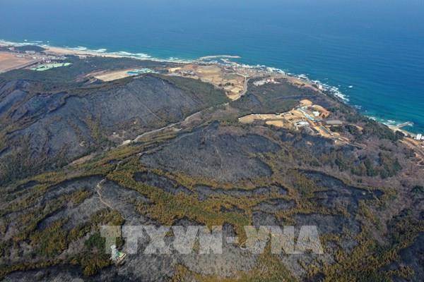 Hàn Quốc dập tắt đám cháy rừng lớn nhất ở ven bờ biển phía Đông