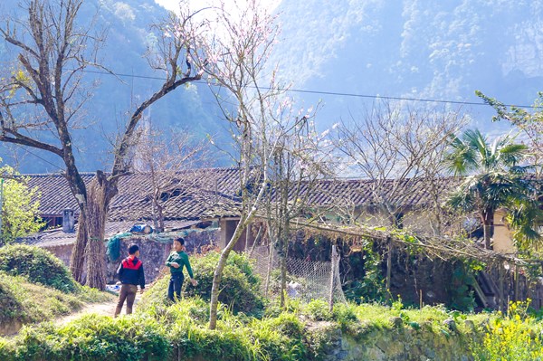 Ngắm những ngôi nhà trăm tuổi và mái ngói âm dương ở Phố Cáo (Hà Giang)