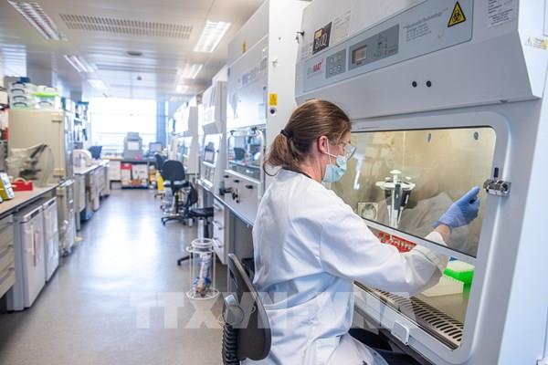 Phát hiện mới về biến thể lai Deltacron và hiệu quả phòng ngừa của vaccine