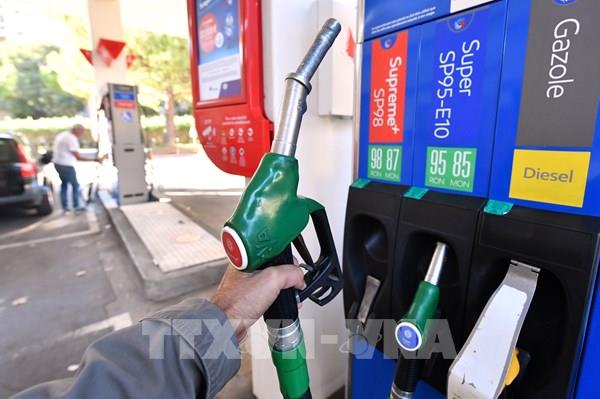 Giá năng lượng leo thang có thể khiến hàng nghìn công ty châu Âu phải đóng cửa