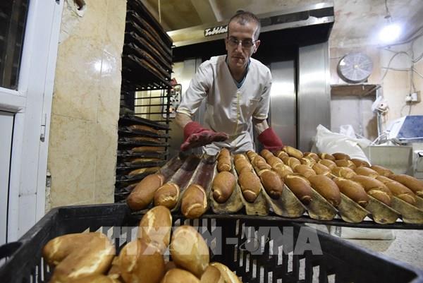 Thế giới lại đứng trước “bờ vực” khủng hoảng lương thực