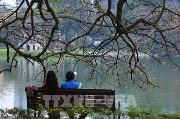 Hà Nội lãng mạn mùa lộc vừng thay lá