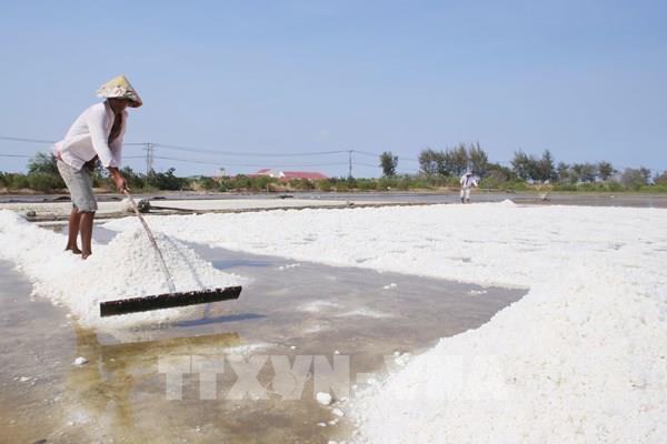 Khôi phục sản xuất nông nghiệp Tp. Hồ Chí Minh: Chuyển đổi mô hình gắn với xây dựng thương hiệu
