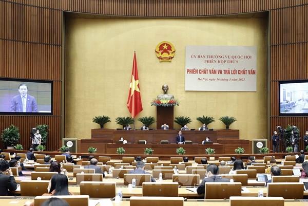 Cần sửa đổi, bổ sung quy định pháp luật về hoạt động đấu thầu đất