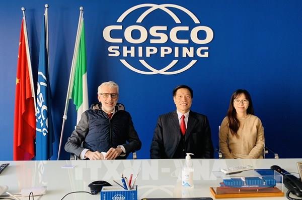 Vụ 100 container điều xuất sang Italy: Các hãng tàu nước ngoài phối hợp với chủ hàng để giải quyết