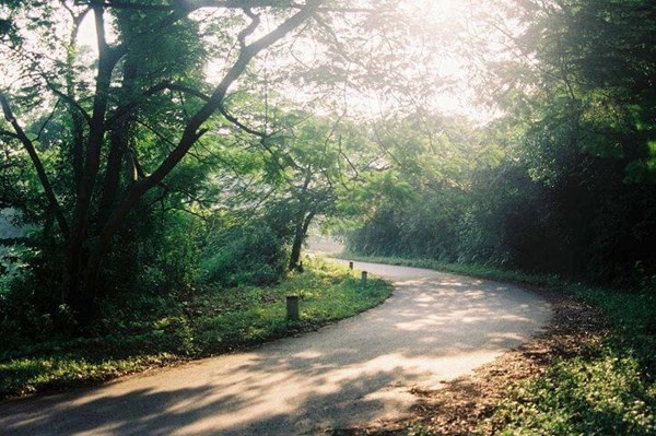 Ngày 21/3, Hải Phòng sẽ cưỡng chế phá dỡ công trình vi phạm tại Vườn Quốc gia Cát Bà