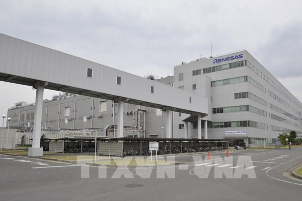 Hãng sản xuất chip Renesas Electronics Corp tạm dừng hoạt động