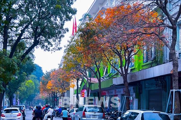 Hà Nội - Khúc giao mùa tháng 3