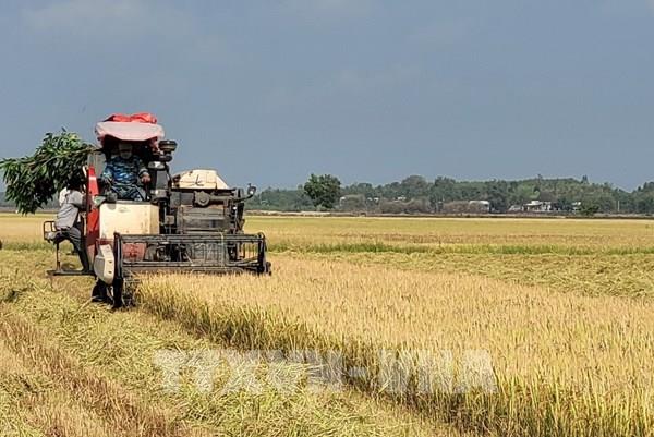 Kết nối doanh nghiệp nông nghiệp Việt Nam - Hoa Kỳ