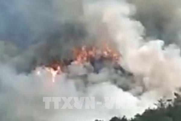 Cổ phiếu Boeing sụt giảm mạnh sau vụ rơi máy bay tại Trung Quốc