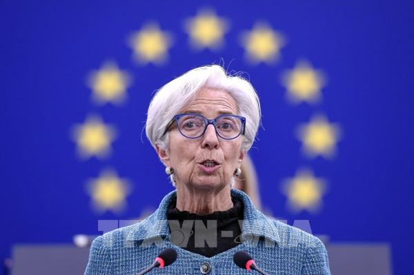 ECB: Không có dấu hiệu cho thấy kinh tế Eurozone bị chững lại