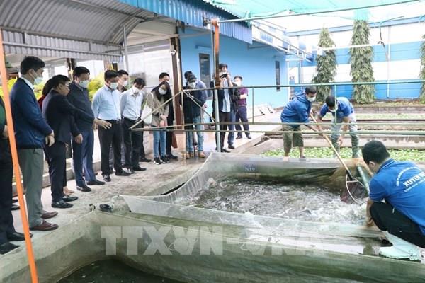 Thúc đẩy liên kết doanh nghiệp với nông dân trong thủy sản và chăn nuôi