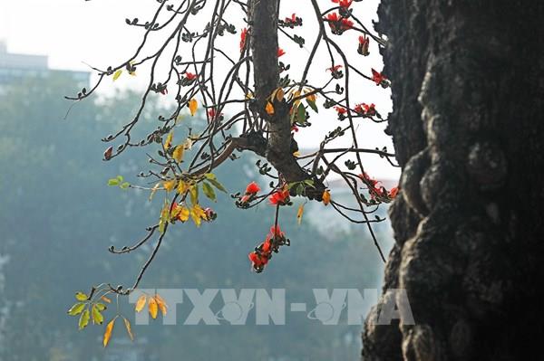 Ngắm Hà Nội trong khoảnh khắc giao mùa