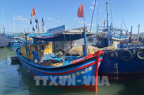 Đề xuất ngân sách nhà nước hỗ trợ giá xăng dầu cho ngư dân