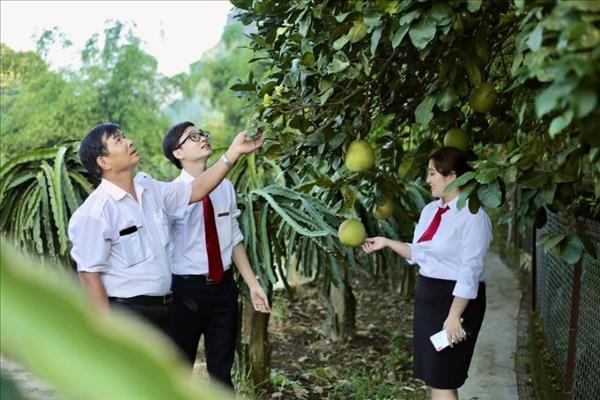 Agribank và hành trình 34 năm phát triển