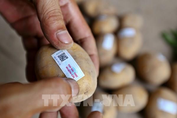 Truy xuất nguồn gốc hàng hóa: Bài 3- Tiêu chuẩn bắt buộc, nền tảng hội nhập