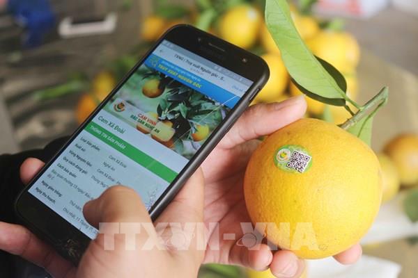 Truy xuất nguồn gốc hàng hóa: Bài cuối – Công cụ quản lý, kiểm soát hàng hóa trên thị trường