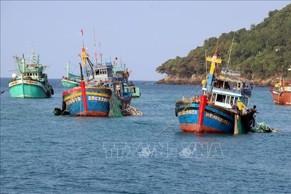 Kiên Giang không có tàu cá của ngư dân vi phạm IUU trong 2 quý liên tiếp