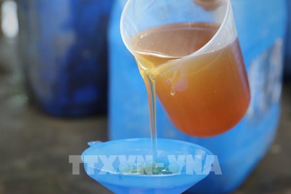 Mật ong xuất khẩu sang EU bắt buộc phải ghi nhãn xuất xứ