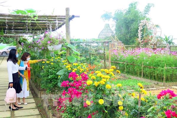 Du lịch miền Trung: Bài 2: Đánh thức tiềm năng du lịch biển, du lịch sinh thái