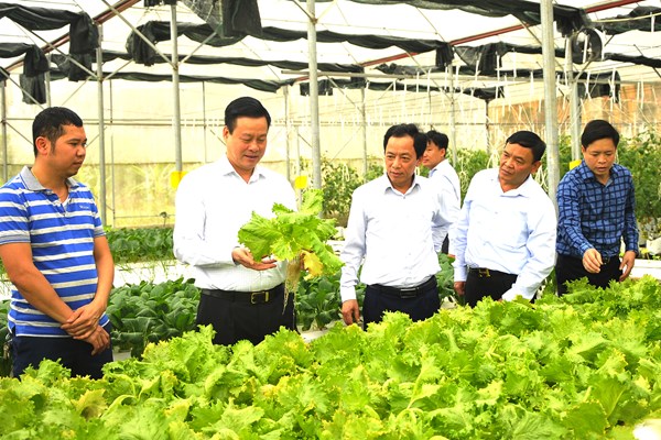 Hà Giang: Phát triển các sản phẩm nông nghiệp đặc trưng gắn với du lịch