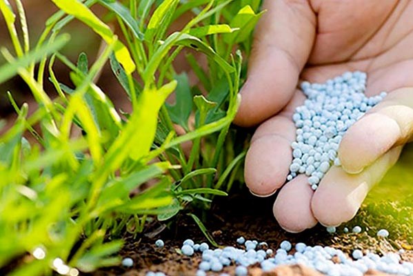 Mỹ nới lỏng trừng phạt đối với phân bón hóa học của Nga