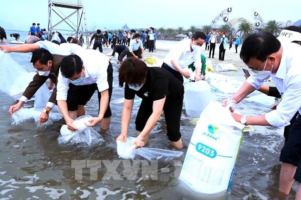 Tái tạo, bảo vệ nguồn lợi đưa thủy sản Việt Nam phát triển bền vững