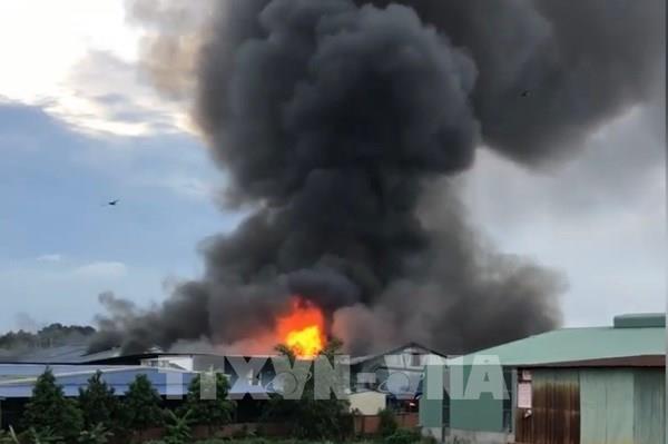 Bình Dương: Khống chế vụ cháy tại một công ty sản xuất đồ gỗ