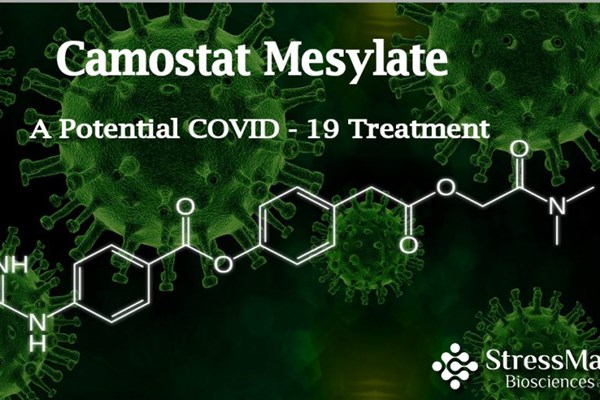 Liệu pháp ngăn tình trạng mất khứu giác và vị giác ở người mắc COVID-19