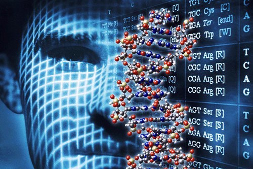 Lần đầu tiên giải mã thành công trình tự hoàn chỉnh của một bộ gene người