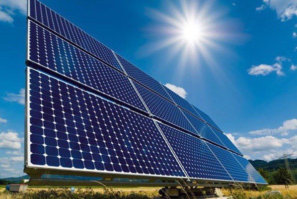 Long An xử phạt hai doanh nghiệp điện năng lượng mặt trời