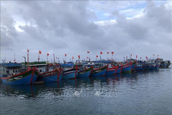 Quảng Ngãi kêu gọi 687 tàu vào nơi trú tránh an toàn trong điều kiện thời tiết xấu