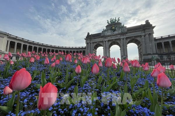 Nhìn lại sự kiện quốc tế nổi bật trong tuần qua ảnh