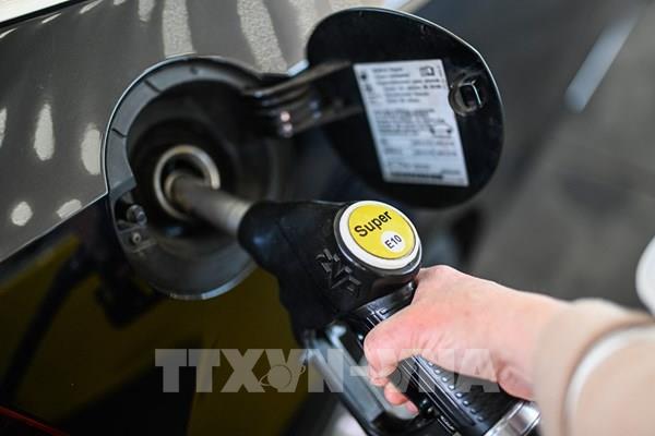 Quan chức Đức nhận định về vấn đề nhập khẩu năng lượng từ Nga