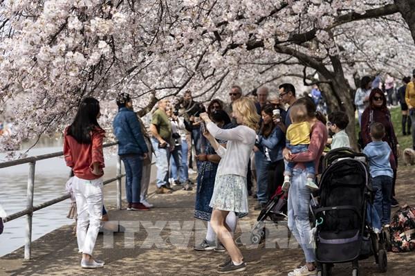 Mỹ: Thời điểm nào để dỡ bỏ các biện pháp hạn chế COVID-19?