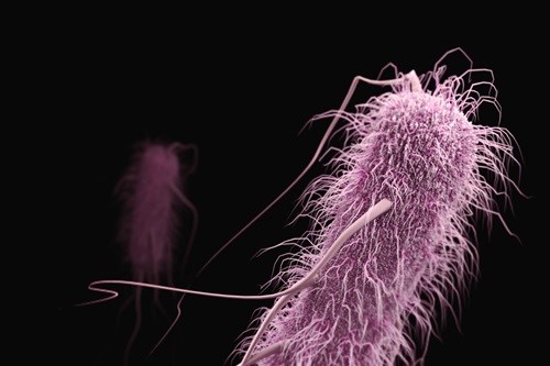 Vi khuẩn kháng kháng sinh làm tăng nguy cơ tử vong