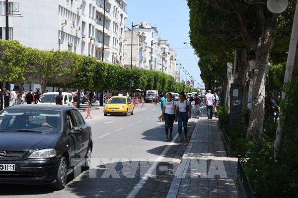 Chi tiết khoản đầu tư 30 tỷ USD của Nhật Bản cho "lục địa Đen"