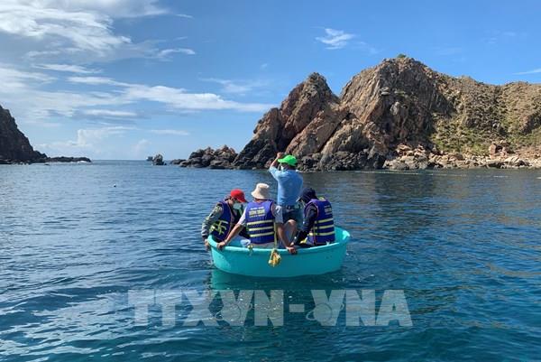 Làm rõ nguyên nhân san hô tại Hòn Sẹo bị chết hàng loạt