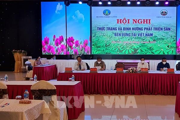 Phát triển sắn bền vững tại Việt Nam