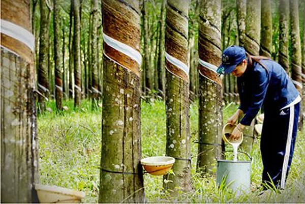  Lịch họp đại hội đồng cổ đông năm 2022 của 11 doanh nghiệp trên HoSE