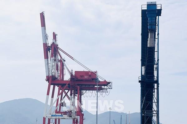 Cảnh báo lừa đảo trong xuất khẩu sang thị trường Nigeria