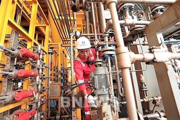 BIENDONG POC tiết giảm chi phí nhờ chuyển đổi số và AI