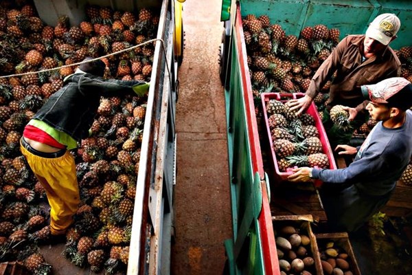 Cuba cấp phép hoạt động cho hơn 5.000 doanh nghiệp tư nhân