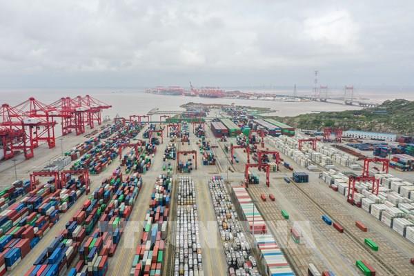 Vận tải container có thể sớm phục hồi khi COVID-19 "hạ nhiệt" tại Trung Quốc