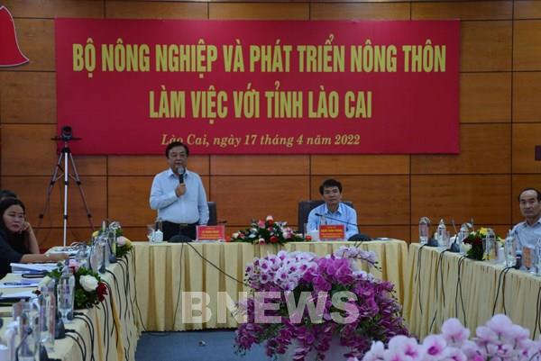 Lào Cai cần hình thành hệ sinh thái kinh tế nông thôn