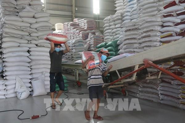 Vùng lũ đầu nguồn phát triển ngành xay xát lúa gạo