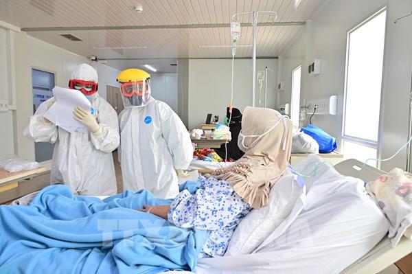 WHO cố gắng xác định chính xác số ca tử vong vì COVID-19 trên toàn cầu