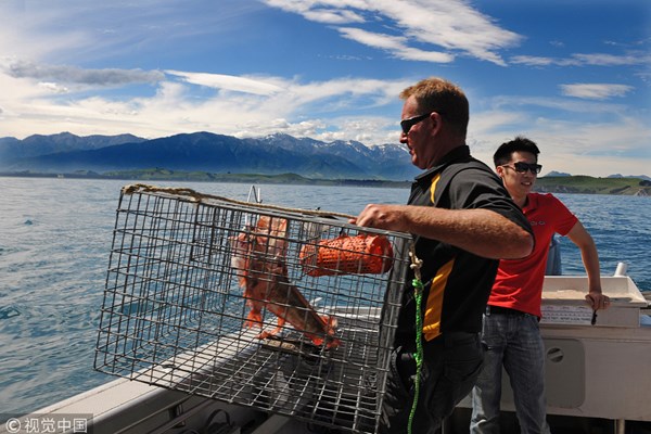 FTA nâng cấp với Trung Quốc tạo thêm cơ hội cho các nhà xuất khẩu New Zealand