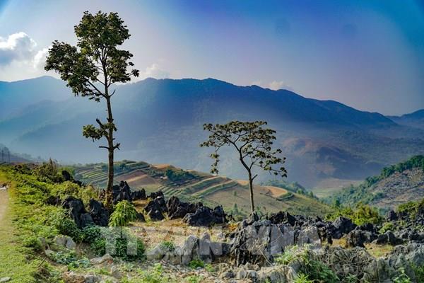 Vẻ đẹp hoang sơ của cao nguyên đá cổ Tả Phìn